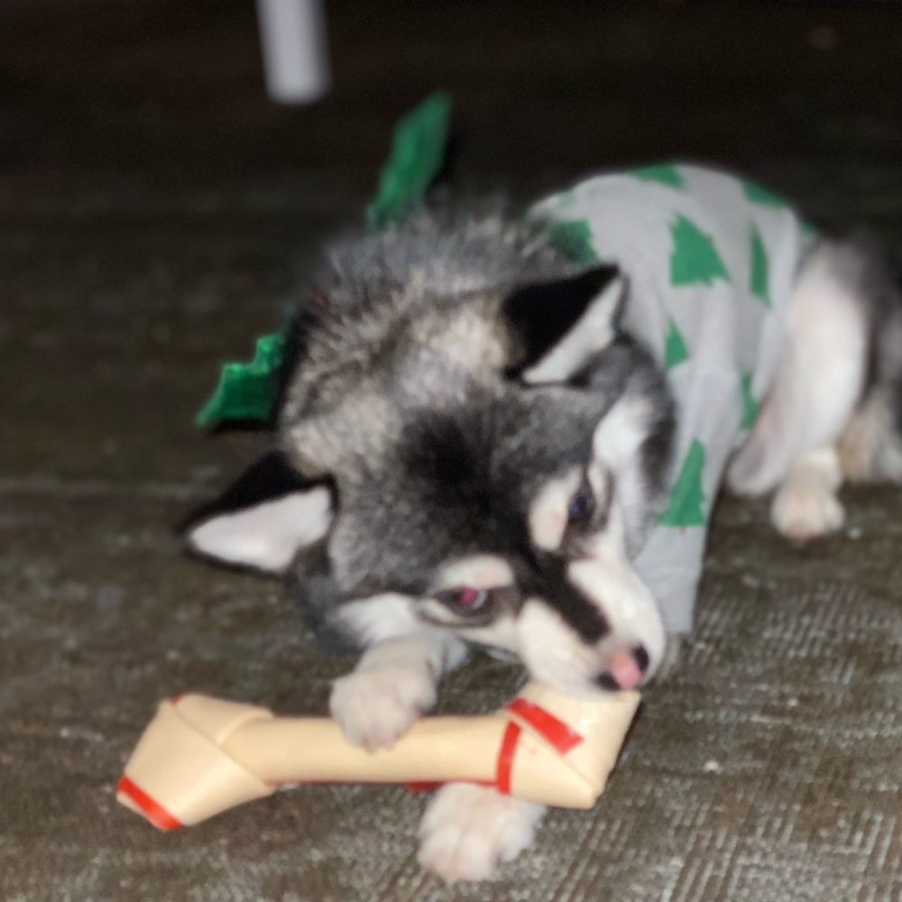 Meet your Posher, Charlet